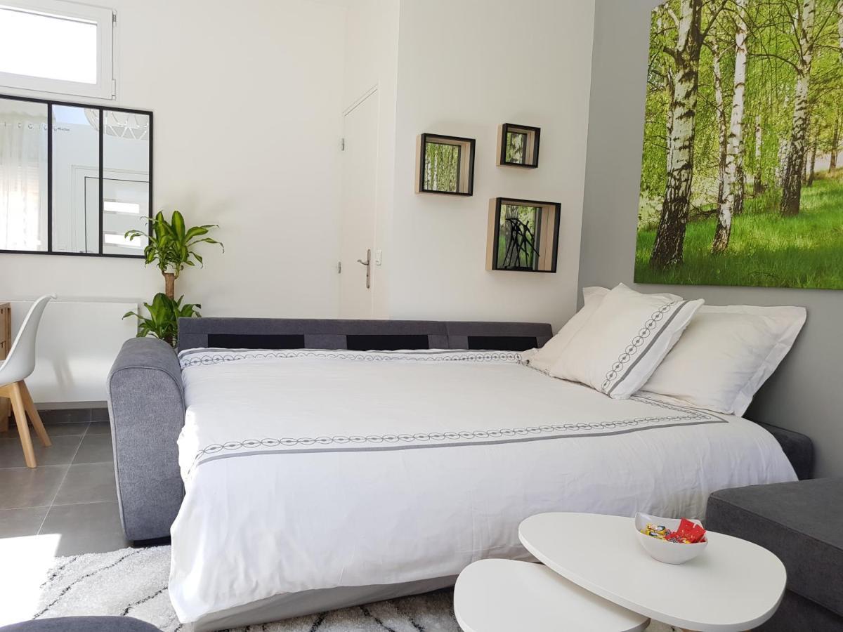 Super Studio Cosy - A 10 Min De Cdg Aeroport - A 30 Min De Paris - A 10 Min Du Salon D'Expo Villepinte Le Thillay Εξωτερικό φωτογραφία